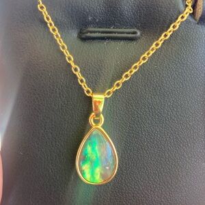 Elegant Gold Necklace with abalone Pendant
